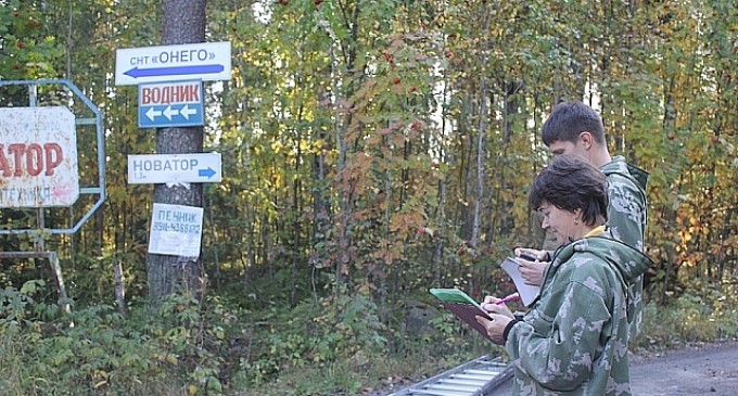В Карелии проходит акция «Реклама в лесу не живёт»