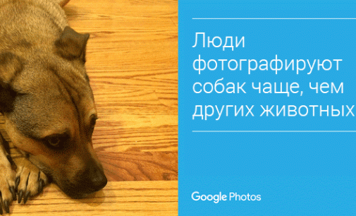11 фактов о Google Фото, которые не плохо знать