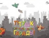 «Птицы – украшение городов!» — новая социальная реклама появилась в Минске