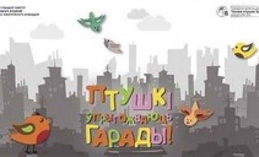 «Птицы – украшение городов!» — новая социальная реклама появилась в Минске