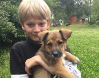 Петербургский шестиклассник спас собаку из огня и потушил пожар