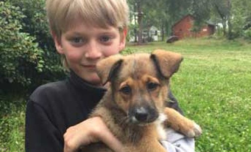 Петербургский шестиклассник спас собаку из огня и потушил пожар