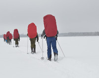 Сформирована команда IX российской молодежной полярной экспедиции «На лыжах – к Северному полюсу!»
