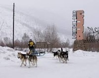 На Камчатке для юных каюров откроют школу ездового собаководства