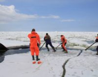 Сахалинские спасители косаток получили благодарность губернатора