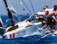 В рамках Vladivostok Boat Show состоятся сразу три парусные регаты