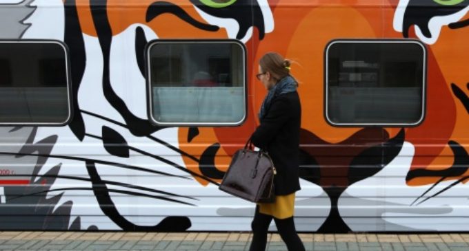 Поезд с изображениями тигров и леопардов отправился во Владивосток