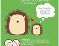 В Петербурге началась установка экобоксов в школах