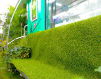 Зеленые растения украсили поезд метро в китайском городе Ханчжоу