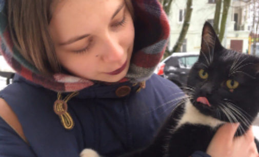 В Кировске спасли замурованного в асфальте кота