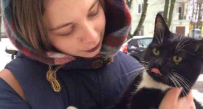В Кировске спасли замурованного в асфальте кота