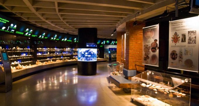 Севастопольский морской Аквариум-музей открылся после реконструкции