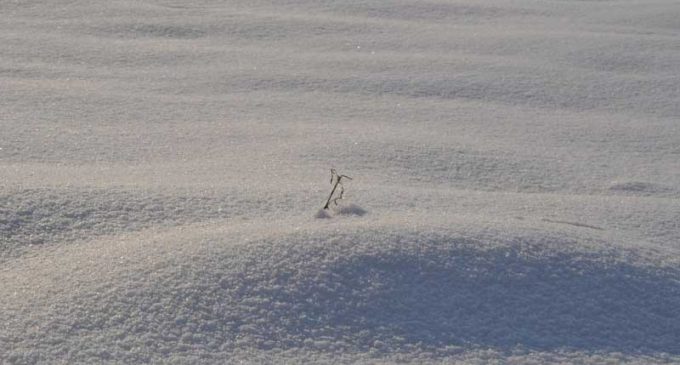 На Ямале ребенка спасли из снежной воронки