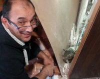 В Екатеринбурге посетители кафе спасли кошку, которая провалилась в стену