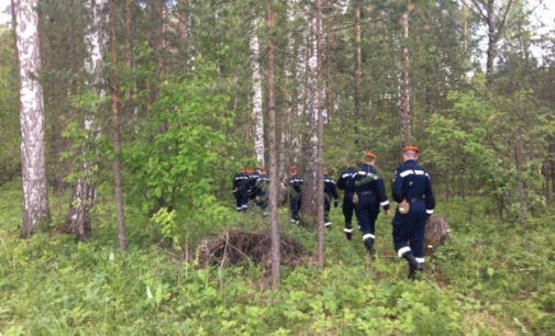 Пропавшего в лесу на Урале 4-летнего мальчика нашли
