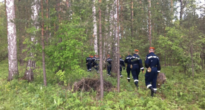 Пропавшего в лесу на Урале 4-летнего мальчика нашли