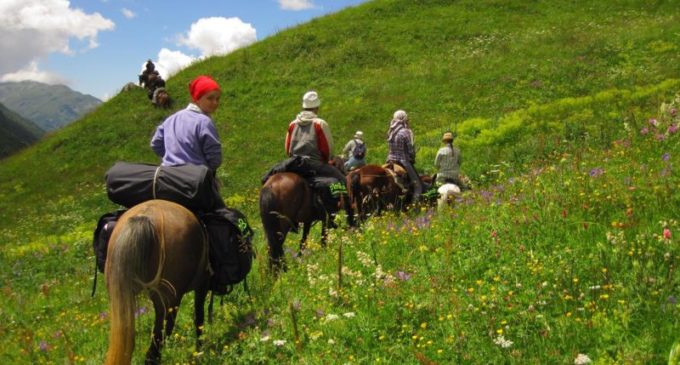 В Архангельске будут развивать конный туризм