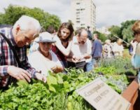 Первый в России «сенсорный сад пяти чувств» открылся в московском Аптекарском огороде