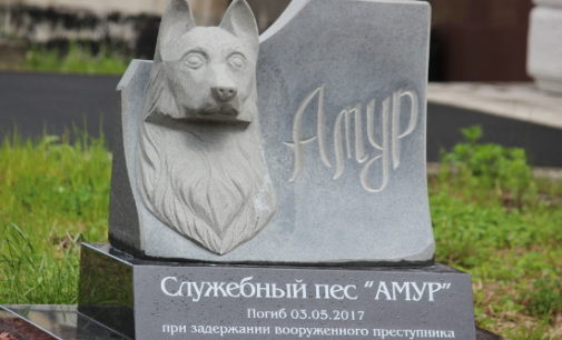 В Петрозаводске установили памятник погибшей служебной собаке