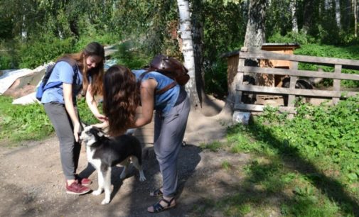 Новосибирские подростки из группы риска помогают приюту для бездомных животных