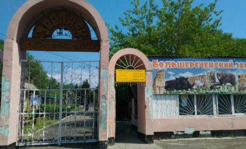 В Омской области придумали однодневный тур в Большереченский зоопарк