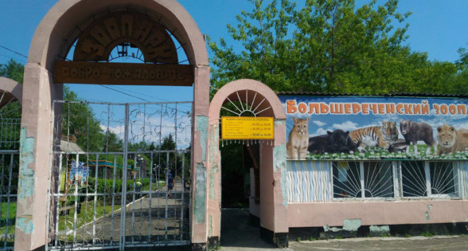 В Омской области придумали однодневный тур в Большереченский зоопарк