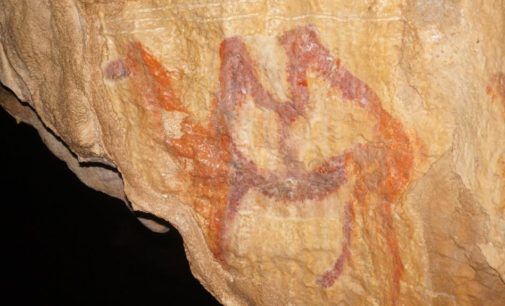 Учёные нашли верхнепалеолитическое изображение верблюда в пещере на Урале