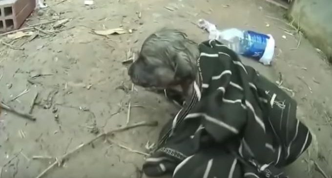 Вьетнамец спас захлебнувшегося щенка, сделав ему вентиляцию лёгких бутылкой