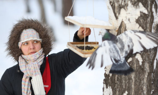 В Свердловском округе прошла акция «Покорми белок и птиц»