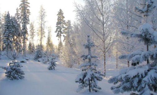 В Восточной Сибири установились 50-градусные морозы