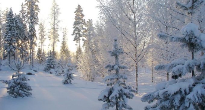 В Восточной Сибири установились 50-градусные морозы