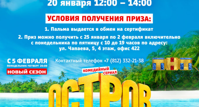 Сдай ёлку – получи пальму! В Петербурге пройдет акция по утилизации ёлок…