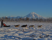 На базе камчатского питомника ездовых собак открылся этнокультурный центр