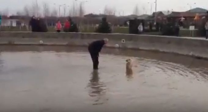 Трогательное спасение упавшей в фонтан собаки
