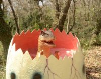 В Приморском парке Никитского сада «поселились» динозавры