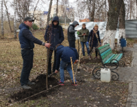 Орловские студенты восстановили исторические аллеи Тургеневского сада