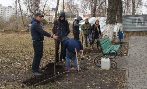Орловские студенты восстановили исторические аллеи Тургеневского сада