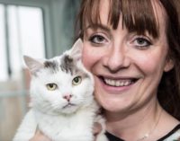 Кот из Великобритании посмертно получил награду за спасение своей хозяйки