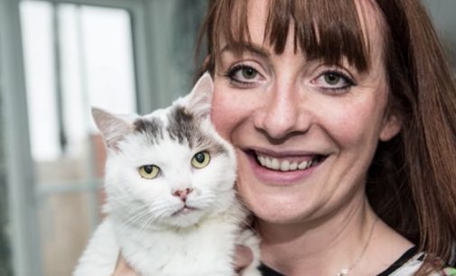 Кот из Великобритании посмертно получил награду за спасение своей хозяйки