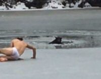 Мужчина в Сумах героически бросился на спасение собаки, которая провалилась под лед