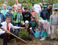 В Иркутске проходит экологическая акция «Жизнь растет с тобой»