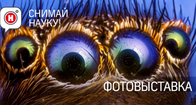 В Москве впервые пройдет фотовыставка «Снимай науку!»