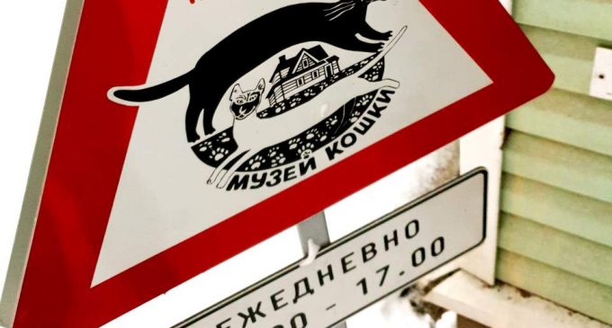 Музей Кошки стал финалистом конкурса Диво России 2020