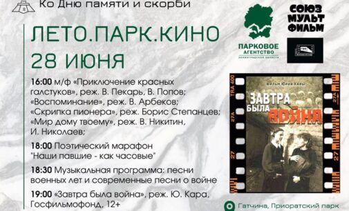 Субботним вечером в Гатчине — патриотический киносеанс!