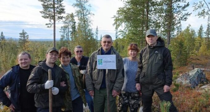 С начала Всероссийской акции «Сохраним лес» на территории Мурманской области высадили более 9800 сеянцев деревьев и кустарников различных пород