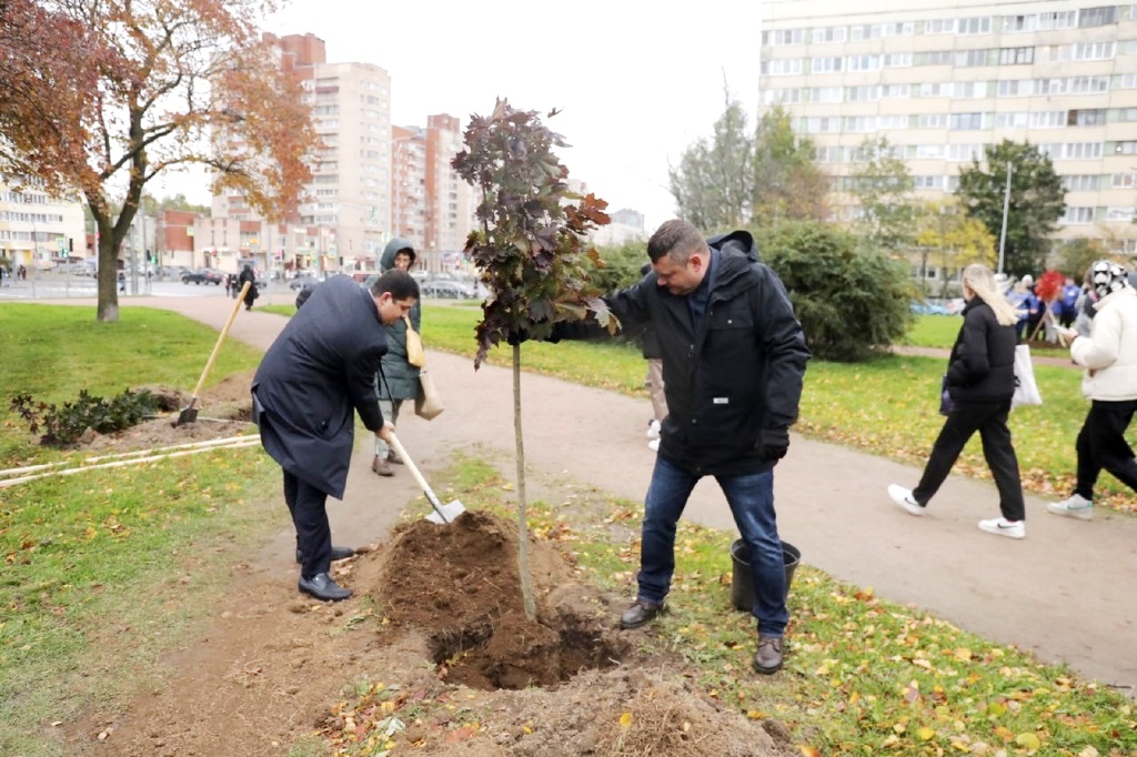 В честь Международного дня врача в саду Прометей культурной столицы России высажены клены