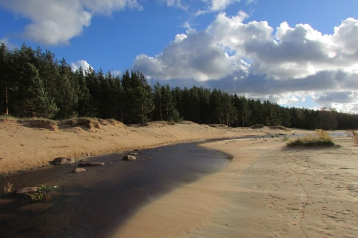 В Ленинградской области — новая особо охраняемая природная территория