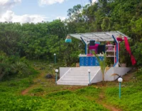 Стратегия лидерства в замкнутой группе