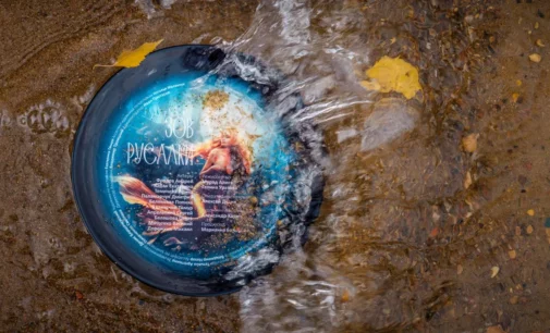 7 комнатных растений, которые выглядят как пришельцы из подводного мира